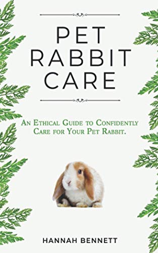 Pet Rabbit Care