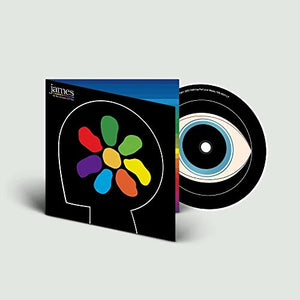 All The Colours Of You 