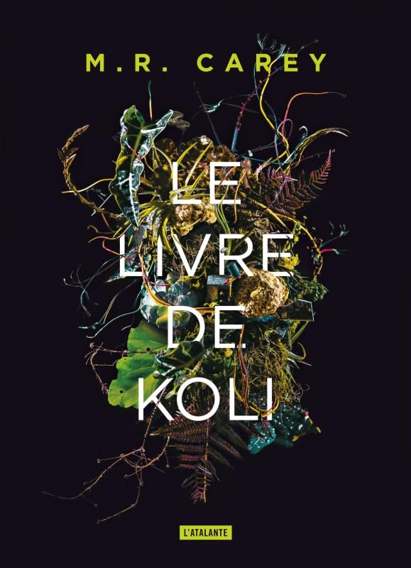 Le livre de Koli: TRILOGIE REMPART 1