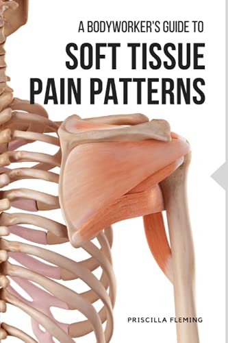 A Bodyworker's Guide to Soft Tissue Pain Patterns
