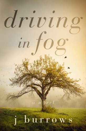 Driving in Fog