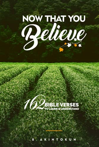 Now That You Believe : 162 Bible Verses to Learn and Understand