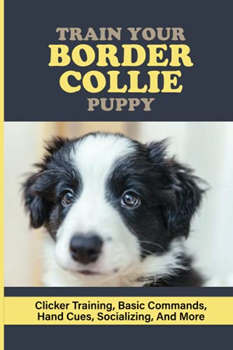 Train Your Border Collie Puppy: Clicker Training, Basic Commands, Hand Cues, Socializing, And More: Training A Border Collieto Come When Called