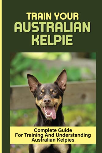 Train Your Australian Kelpie