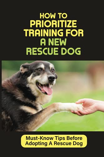 How To Prioritize Training For A New Rescue Dog