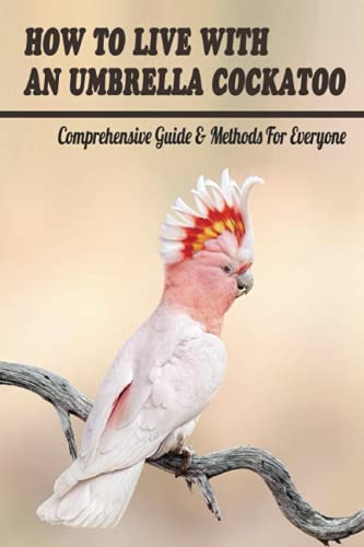 How To Live With An Umbrella Cockatoo