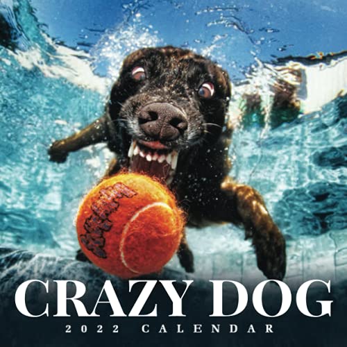 Crazy Dog 2022 Calendar: From January 2022 to December 2022 - Square Mini Calendar 8.5x8.5" - Small Gorgeous Non-Glossy Paper