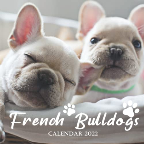 French Bulldogs 2022 Calendar: Squared Monthly Calendar Mini Planner 12 Months 2022 bonus September to December 2021 , Coll Funny Cute Dog Photos