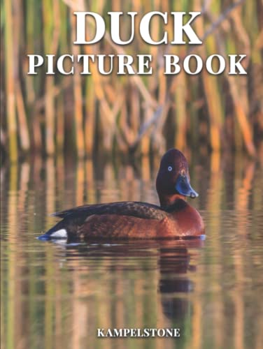 Duck Picture Book: 100 Cute Images of Ducklings and Ducks - Perfect Gift or Hardcover Coffee Table Book