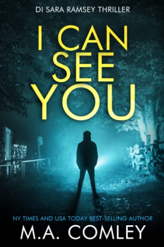 I Can See You (DI Sara Ramsey)