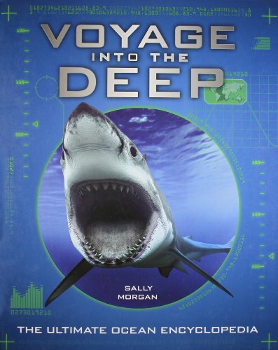 Voyage Into The Deep