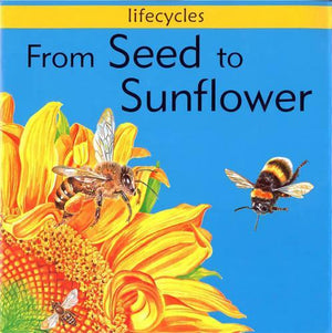 From Seed to Sunflower