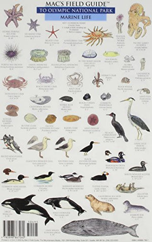Mac's Field Guides: Olympic National Park