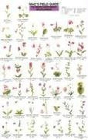 Mac's Field Guides: Pacific NW Wildflowers