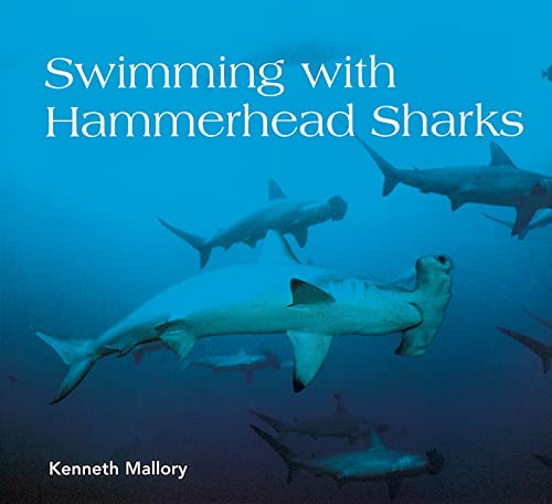Swimming With Hammerhead Sharks