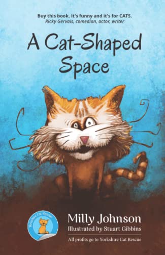 A Cat-Shaped Space