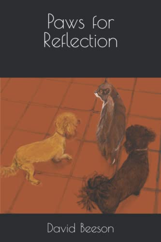 Paws for Reflection