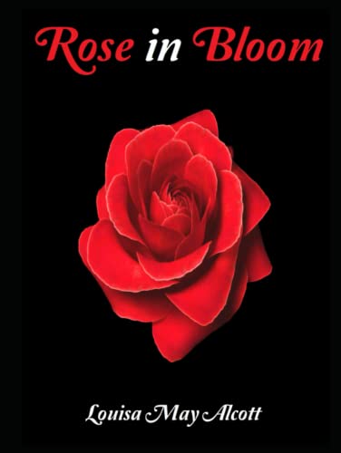 Rose in Bloom