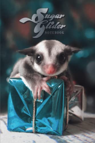Sugar Glider Notebook: A Present from Joey | 6x9 Blank Lined Journal with Joeys Inside | Essential Merch for Sugar Glider Lovers: The Ultimate Sugar Glider Gift