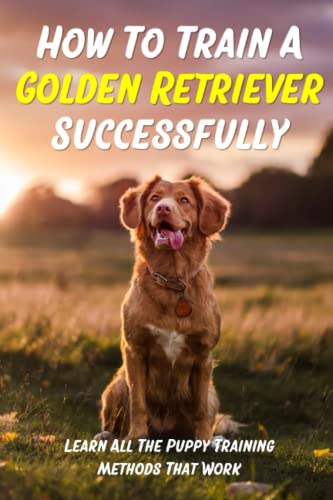 How To Train A Golden Retriever Successfully: Learn All The Puppy Training Methods That Work