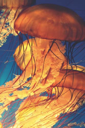 Jellyfish Journal: 6 X 9 Ruled Diary, Lined Notebook For Writing, Brown Jellyfish Swimming Underwater Cover - An Ocean Gift For Your Friends