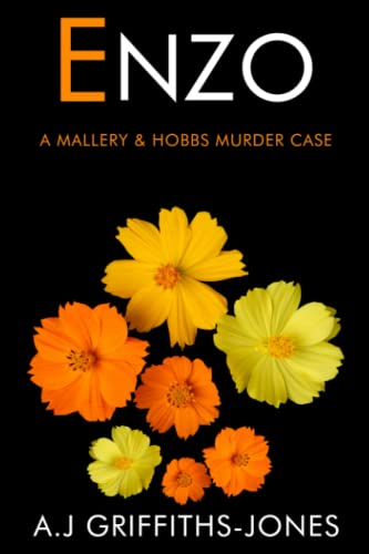 Enzo : MALLERY and HOBBS BOOK SIX