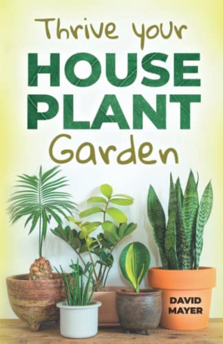 Glow Your Houseplant Garden: The Step-By-Step Guide of Indoor Plant Care For Beginners