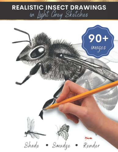 Insect Drawing Book for Kids and Teens: Realistic Portraits of Insects in Light Grey Sketches