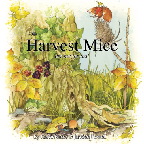 Harvest Mice are not for tea!