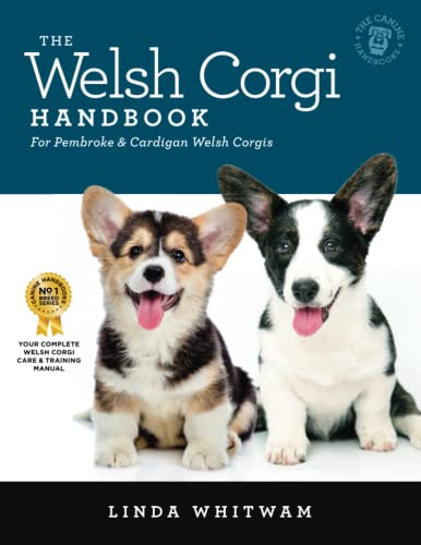 Welsh Corgi Handbook : The Essential Guide to Pembrokes and Cardigans