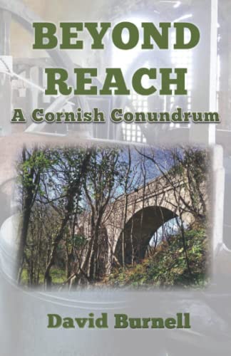 Beyond Reach (Cornish Conundrums)
