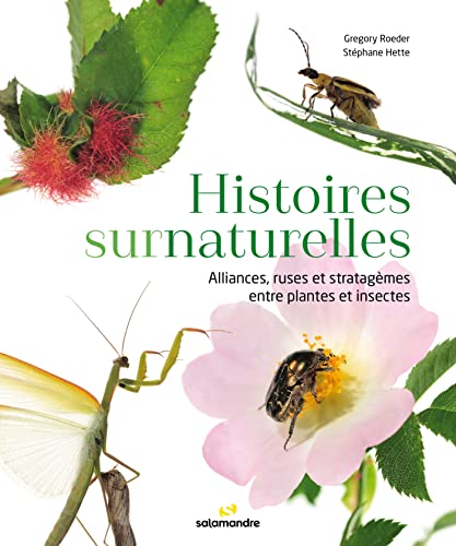 Histoires surnaturelles: Alliances, ruses et stratagèmes entre plantes et insectes