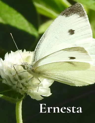 Ernesta Journal