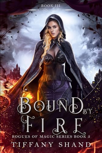 Bound By Fire (Rogues of Magic Series)