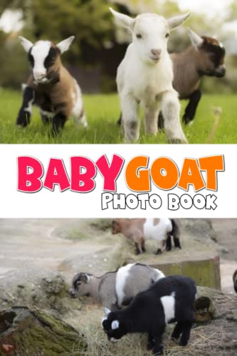 Baby Goat Photo Book: Amazing And Interesting Wildlife Colorful Pictures For Kids | Enjoy Our Designs