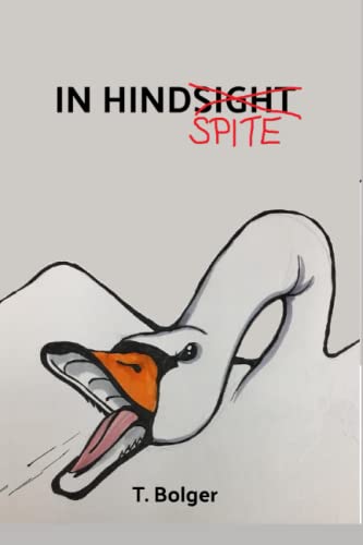 In HindSpite