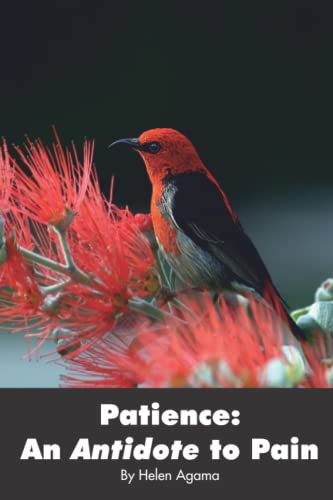 PATIENCE: AN ANTIDOTE TO PAIN