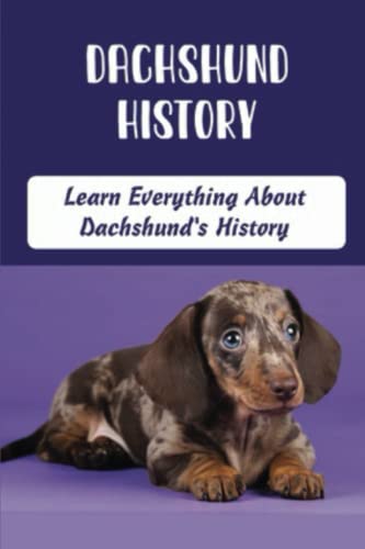 Dachshund History: Learn Everything About Dachshund's History