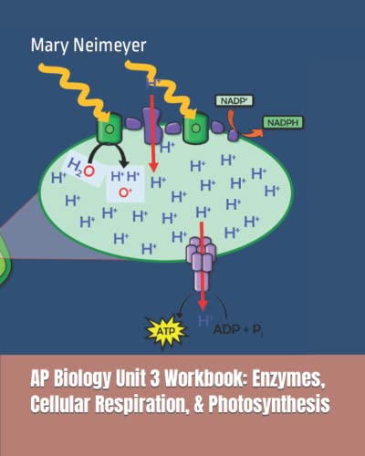 AP Biology Unit 3 Workbook: Enzymes, Cellular Respiration, & Photosynthesis