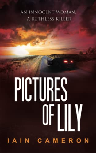 Pictures of Lily: (DI Angus Henderson 11)