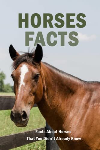 Horses Facts: Facts About Horses That You Didn't Already Know: Astonishing Facts About Horses
