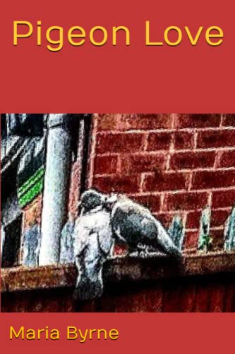 Pigeon Love