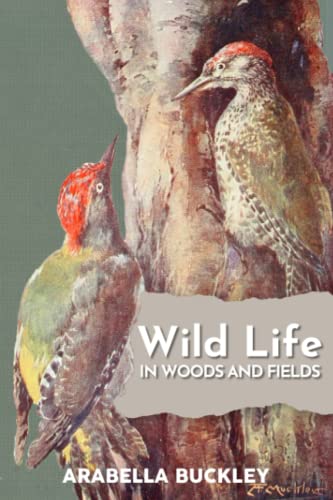 Wild Life in Woods and Fields (Illustrated)