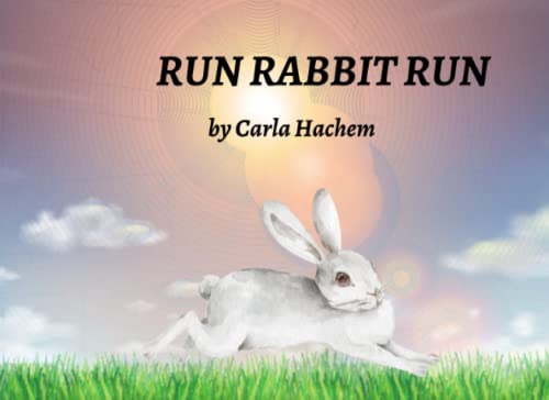 RUN RABBIT RUN