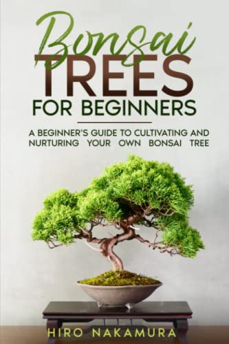Bonsai Trees for Beginners