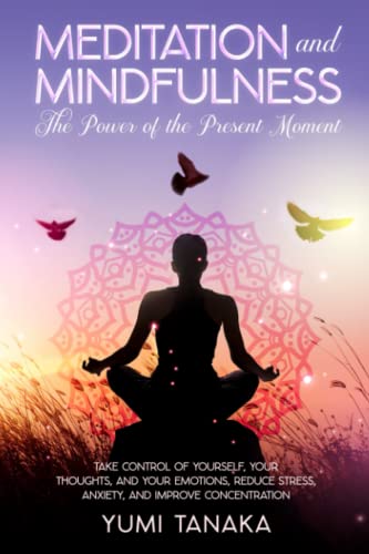 MEDITATION AND MINDFULNESS: The Power Of The Present Moment: Take Control of Yourself, Your Thoughts and Emotions, Reduce Stress, Anxiety and Improve Concentration