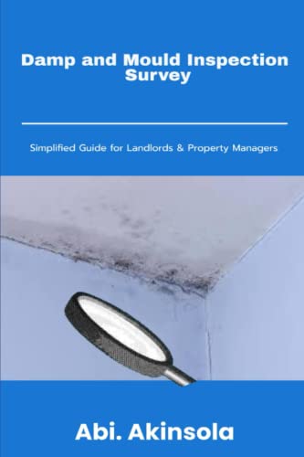 Damp and Mould Inspection Survey: Simplified Guide for Landlords and Property Managers