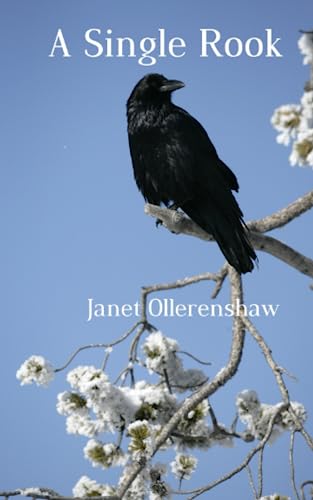 A Single Rook