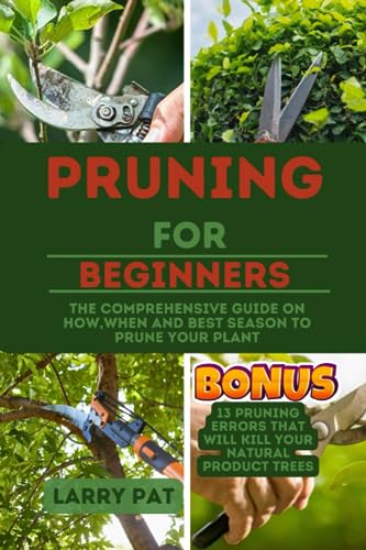 Pruning for Beginners