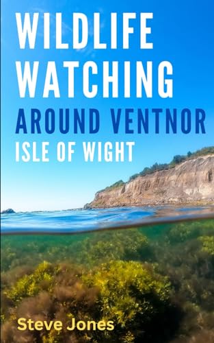 Wildlife Watching Around Ventnor, Isle of Wight